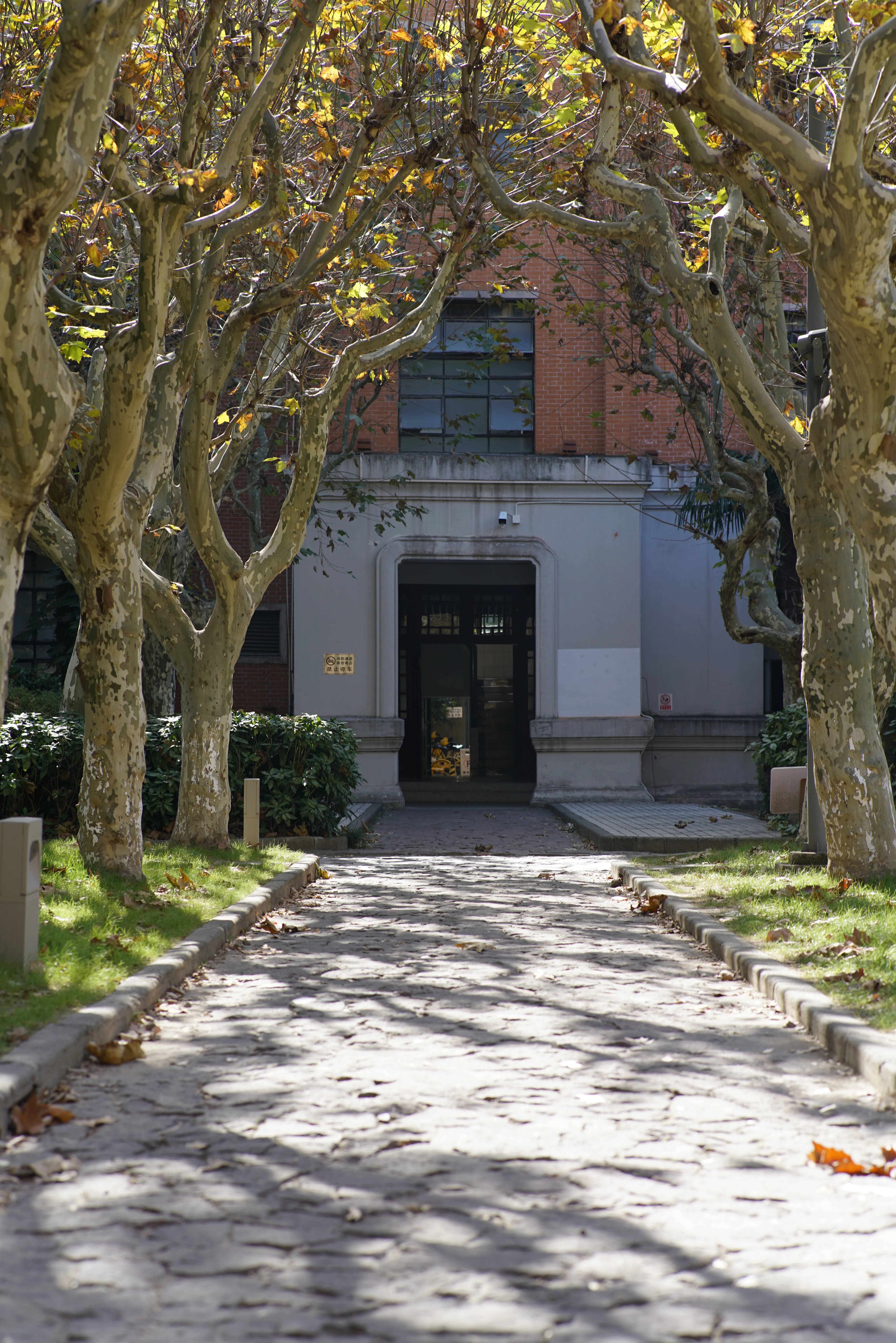 上海同济大学